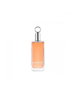 Karl Lagerfeld Classic Eau de Toilette 100 ml